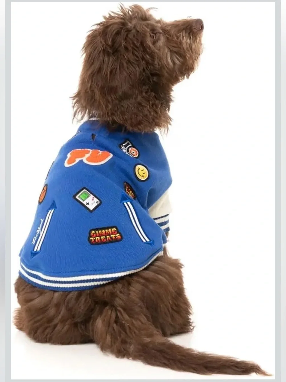 Dog Letterman Jacket with Patches by FuzzYard